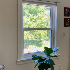 Double Hung