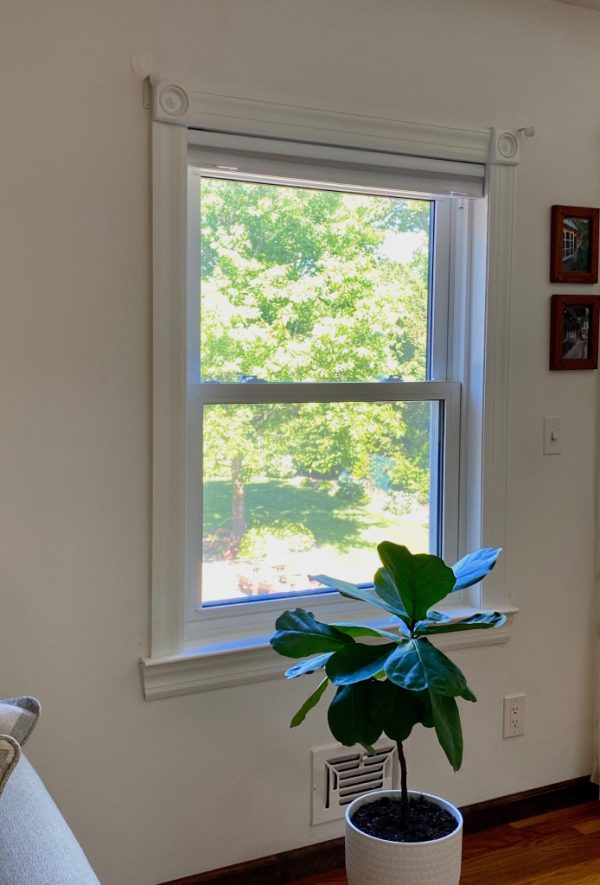 Double Hung
