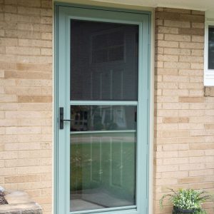 2 Elmont Storm Doors