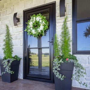 1 Elmont Storm Doors